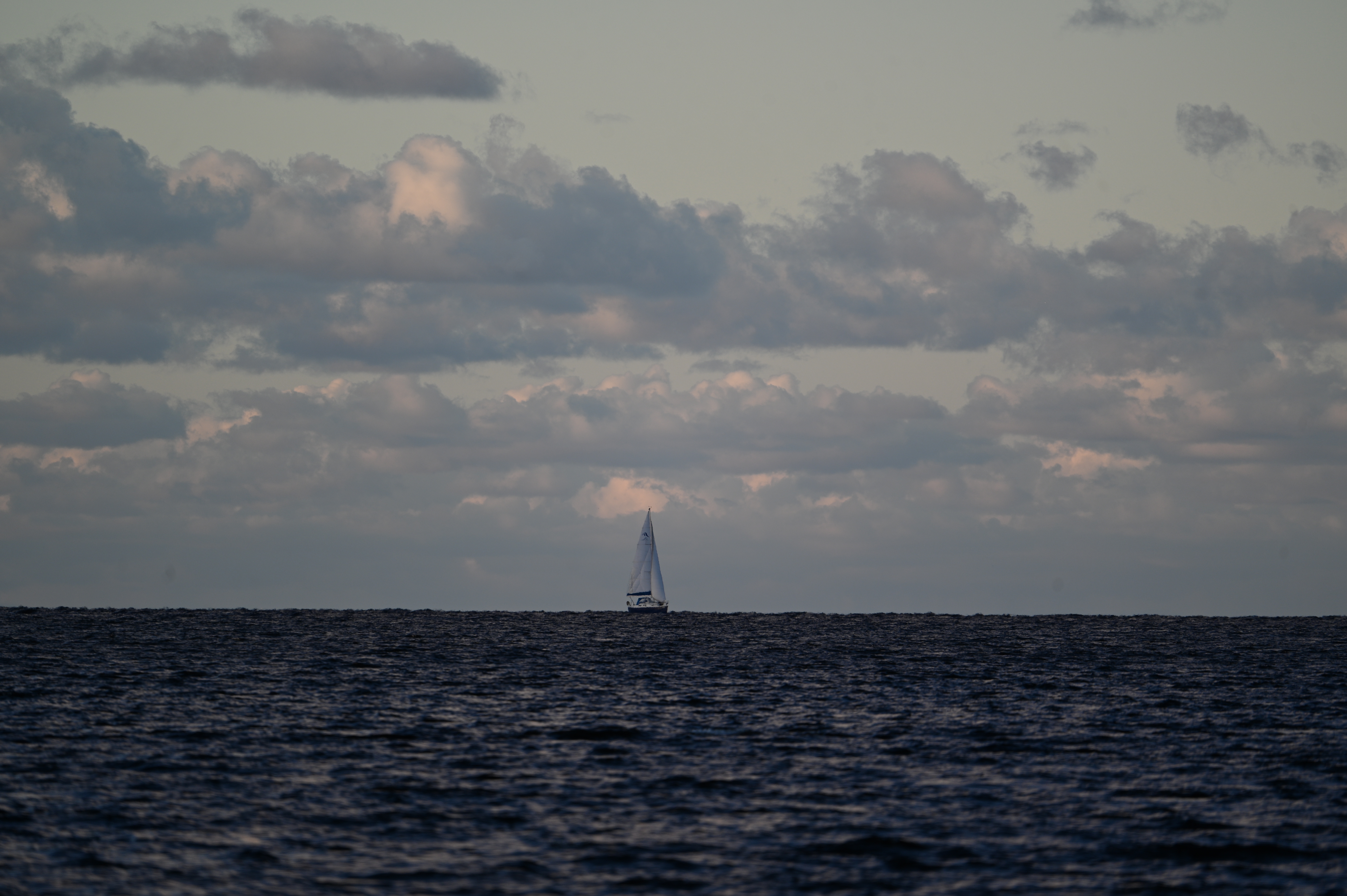 2025/10/18 - walk/DSC_0241.JPG